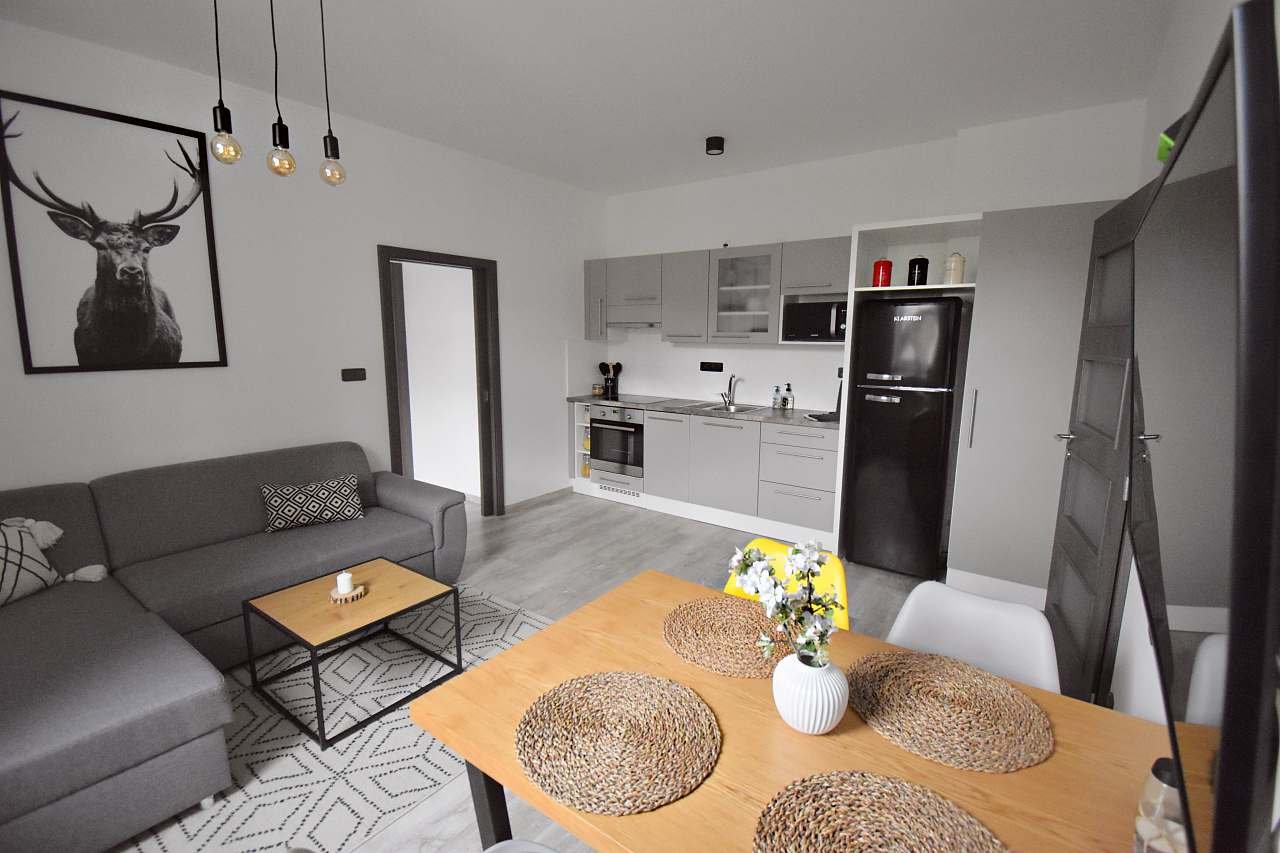 Apartmán č. 2 - obývací část s kuchyňským koutem a rozkládací sedačkou