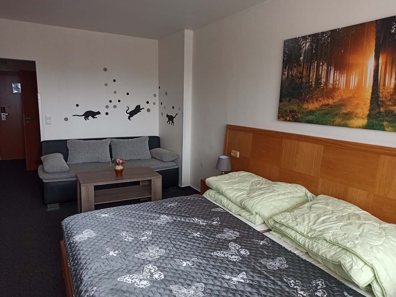 Apartmán D104 Frymburk