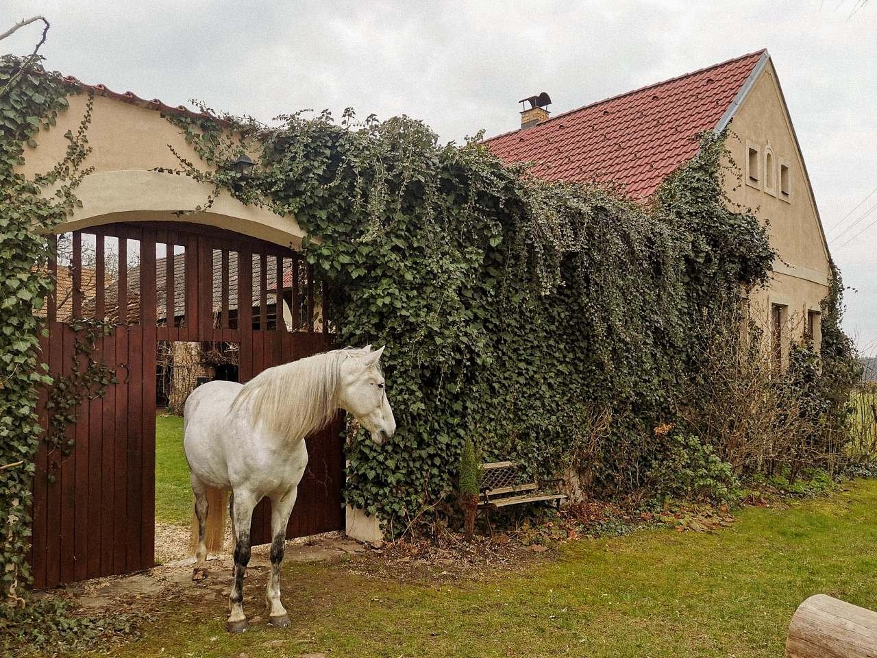 Apartmán U bělouše