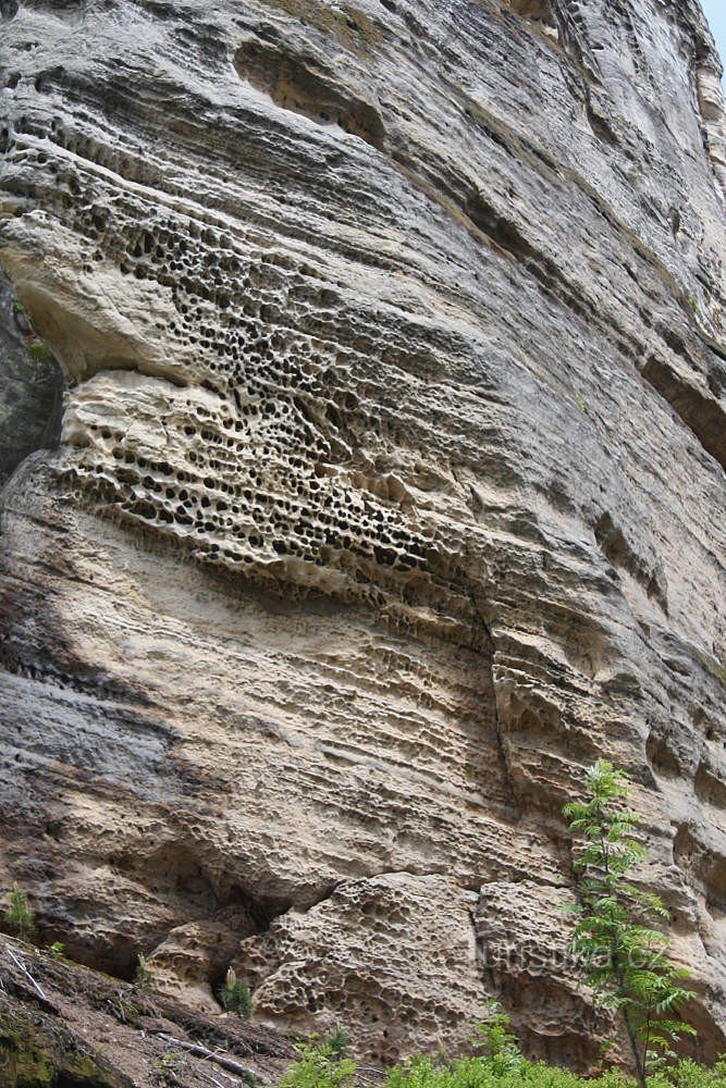 Apolena - Český ráj