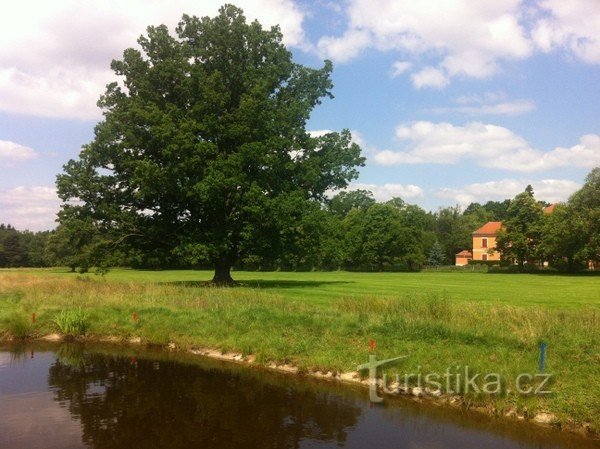 Bechyně - golfové hřiště