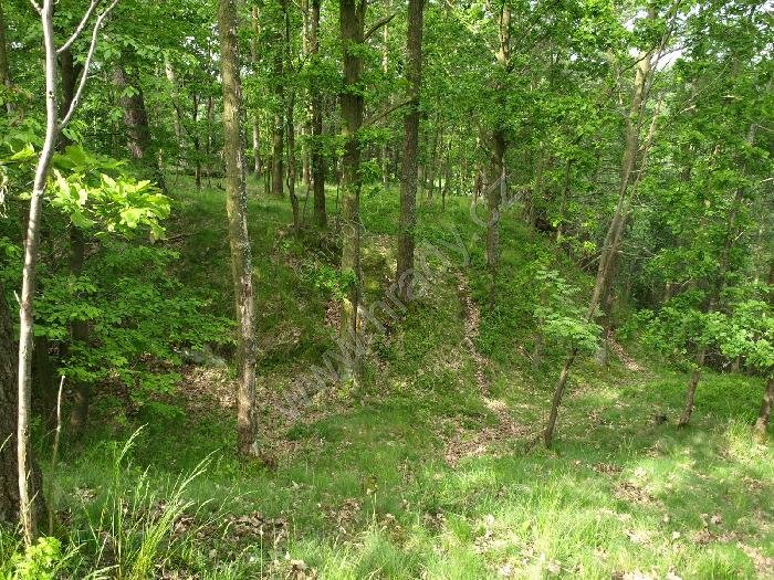 Bernartice