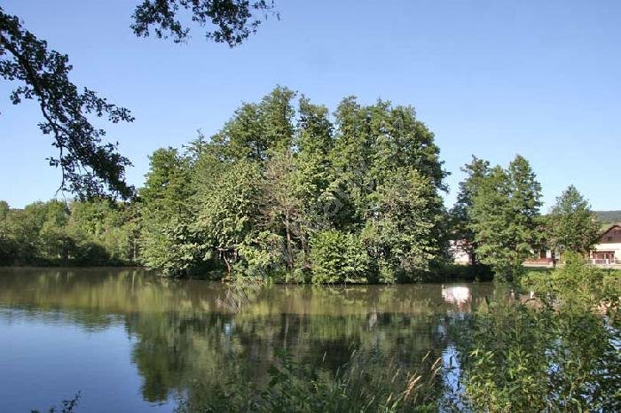 Běšiny
