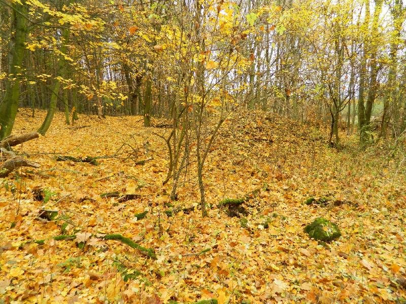 Beyerovka