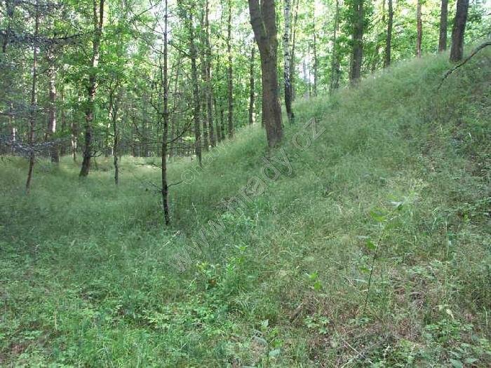 Bezemín