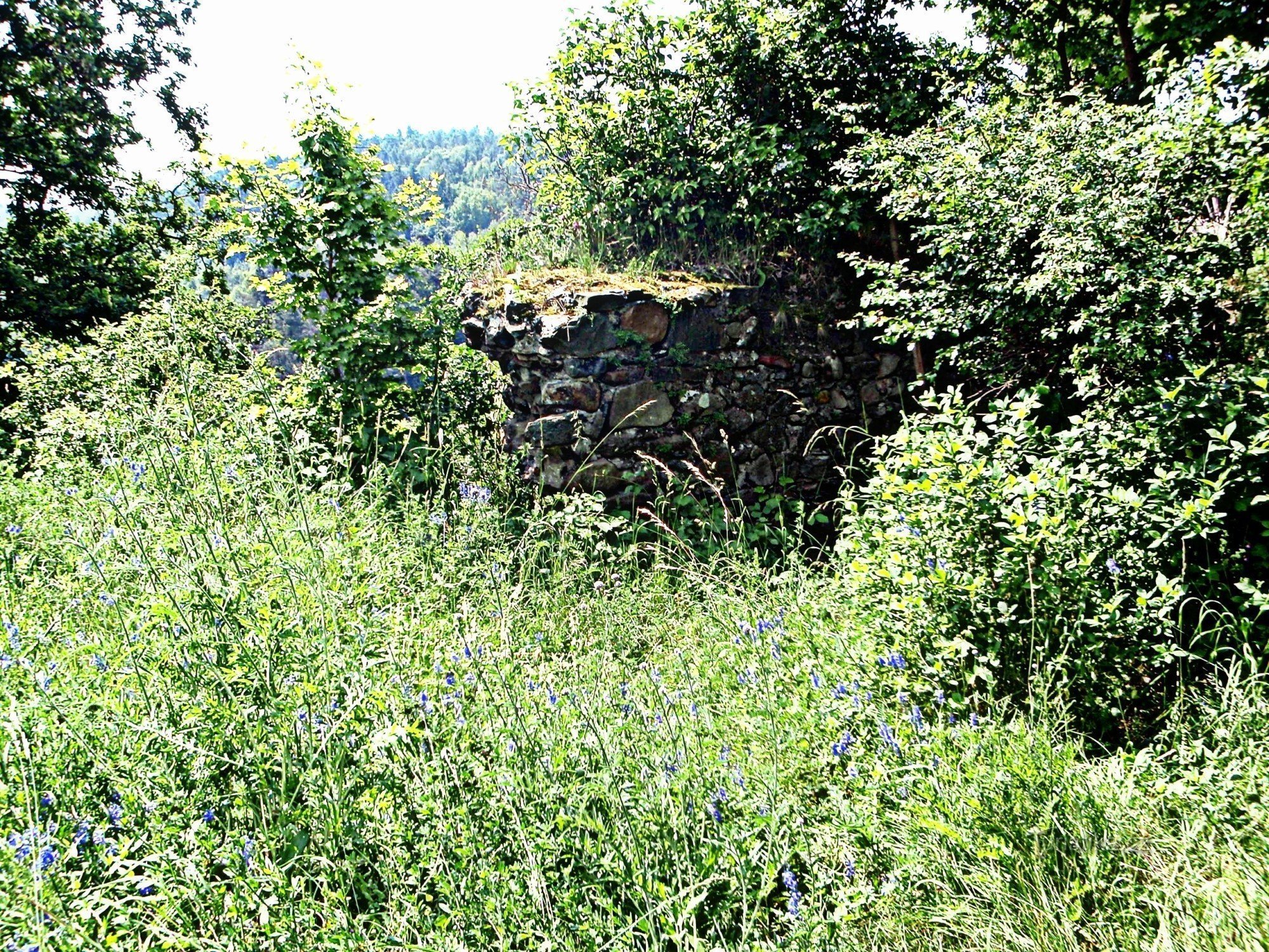 Blíževedly - zřícenina hradu Hřídelík