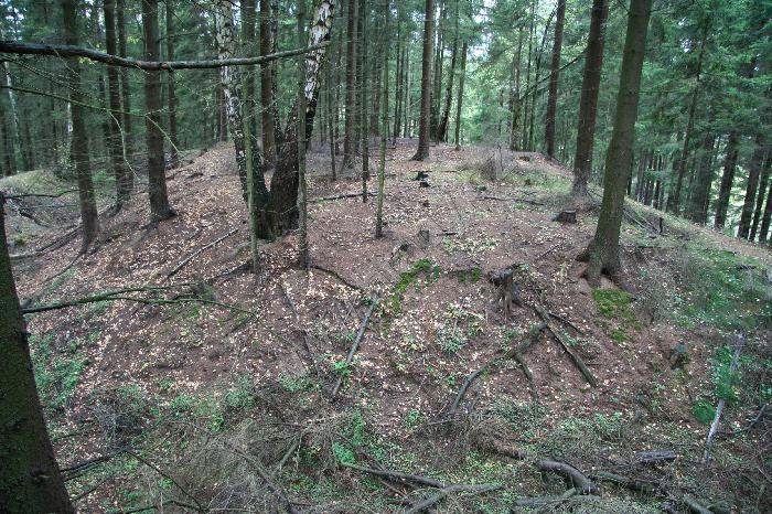 Bochov