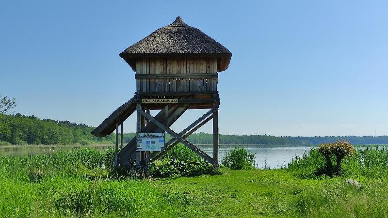 Bohdanečský rybník