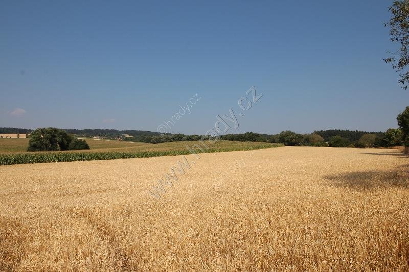 Bohuslavice