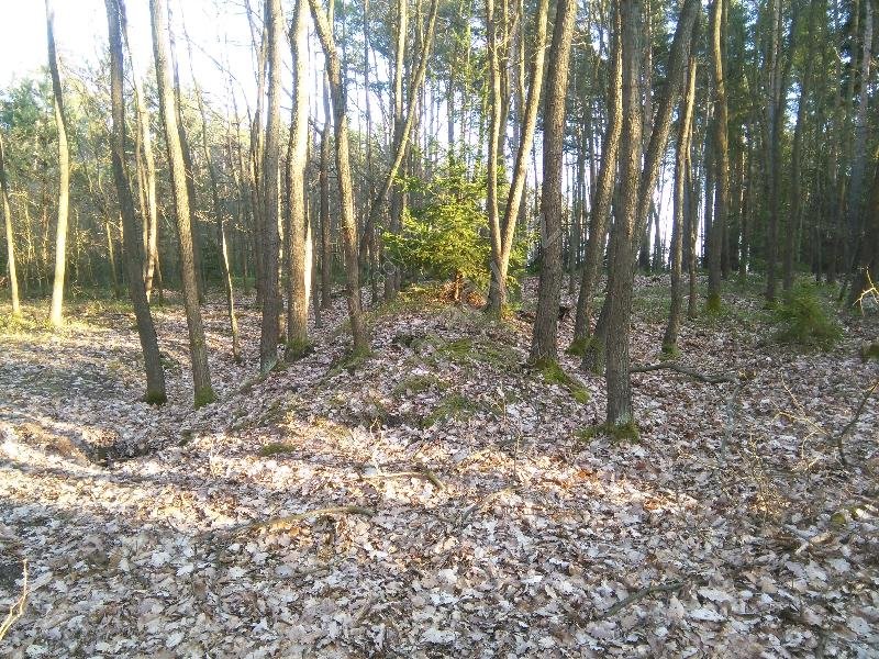 bojiště u Rakovníka