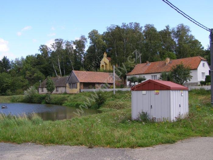 Bolina