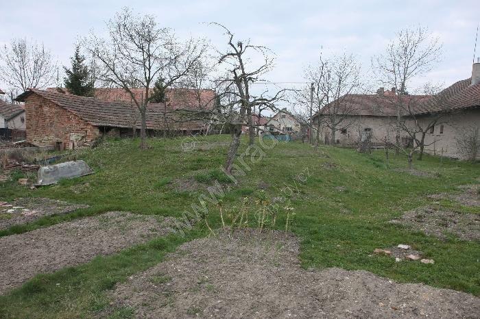 Bořice