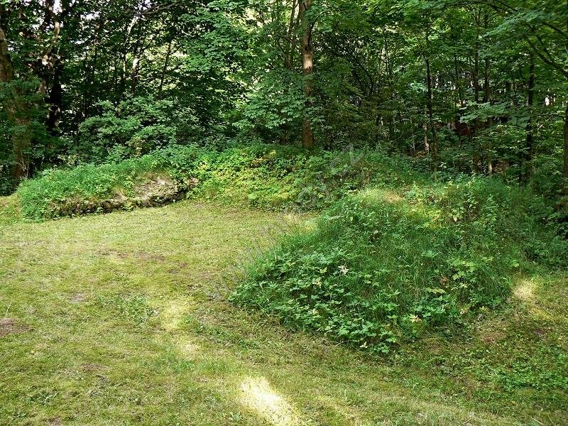 Boršengrýn