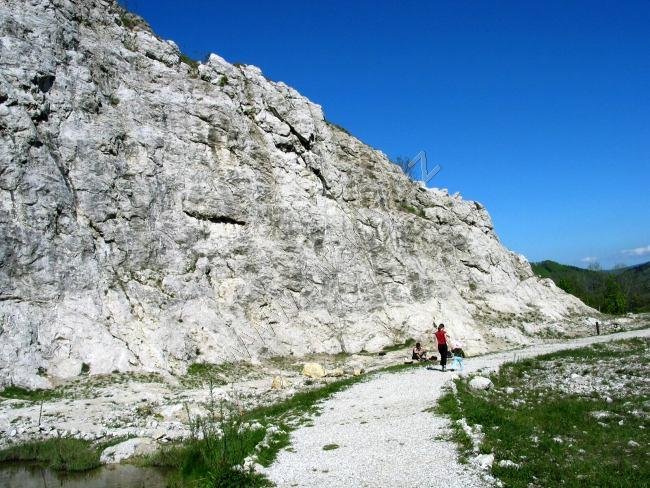 Botanická zahrada a arboretum