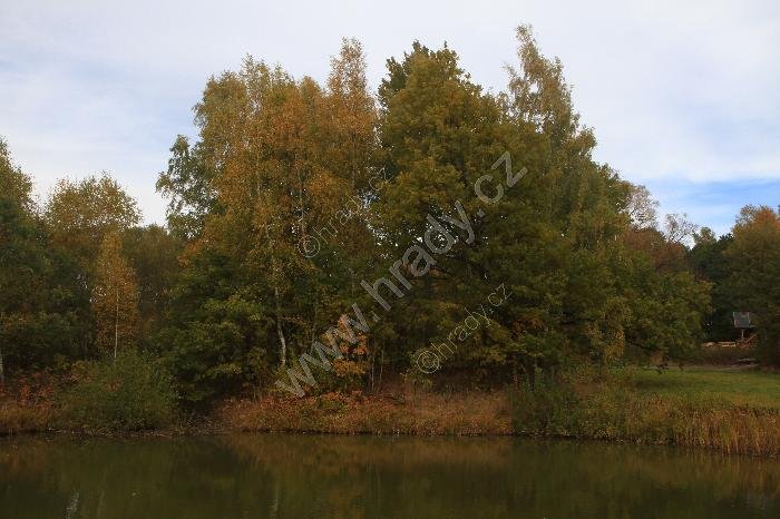 Božetín, Fasattengrün