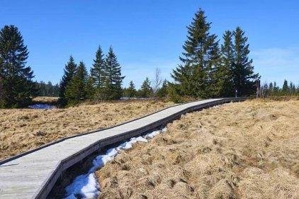 Božídarské rašeliniště