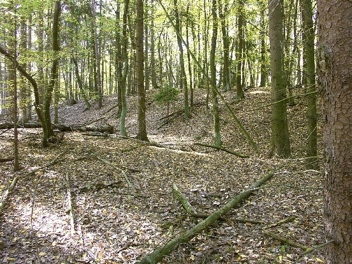 Březí