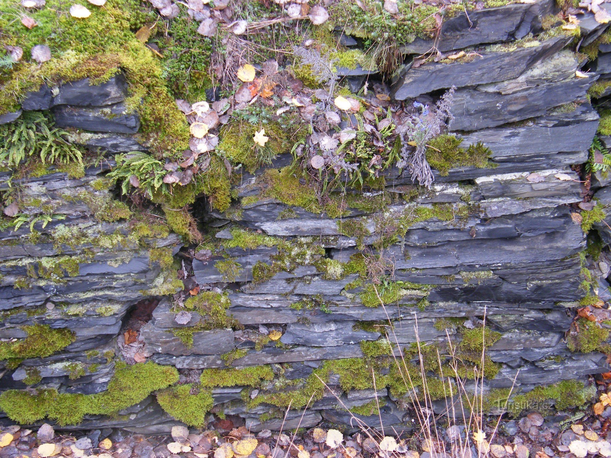 Břidlicové lomy u Rabštejna