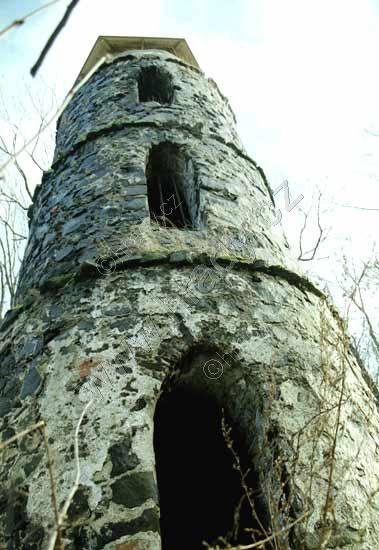 Bučina