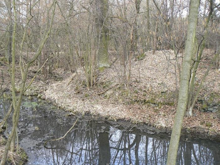 Budiš