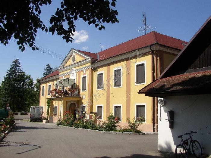 Budislav