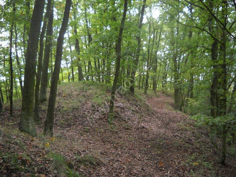 Budkovické hradiště