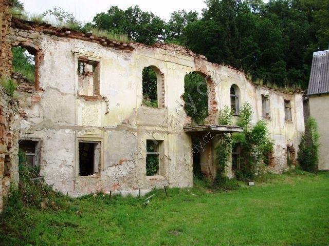 Buková