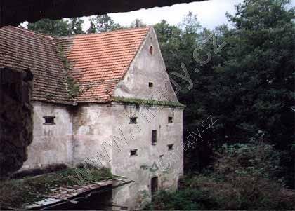 Buzice