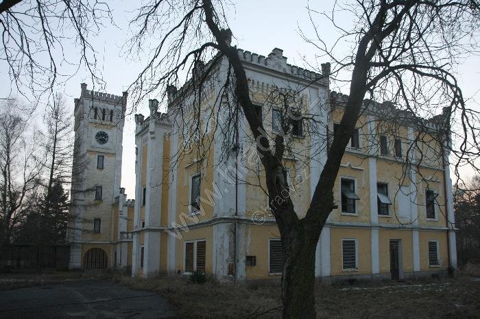 Býchory
