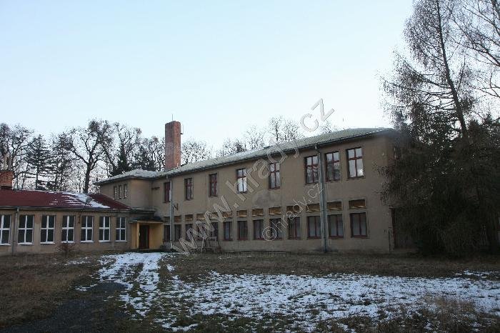 Býchory