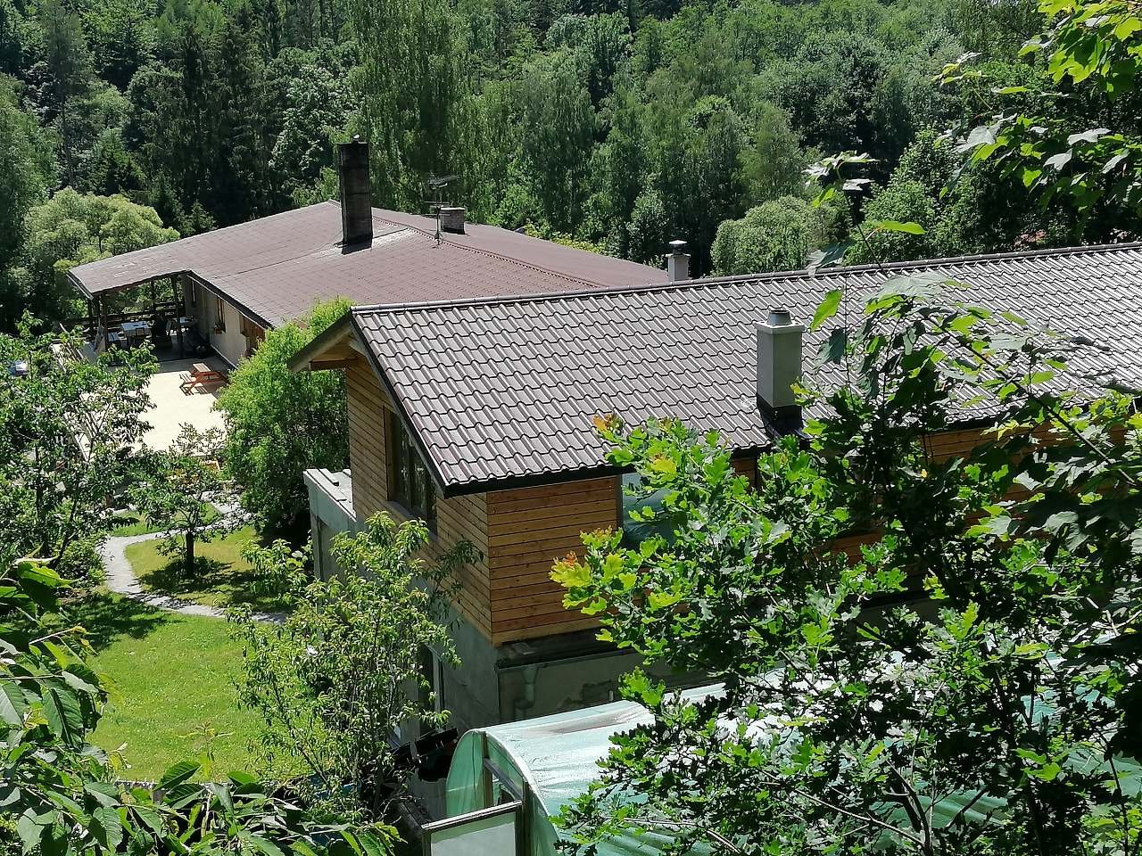 Bylinkové údolí v létě