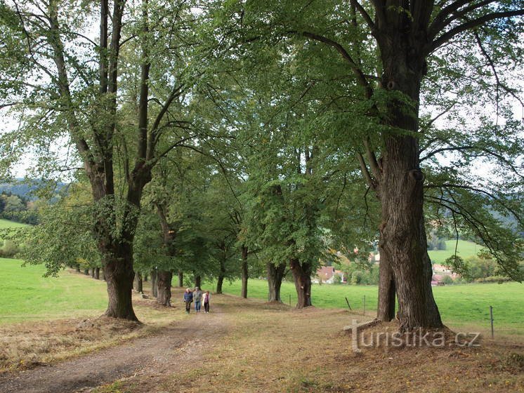 (c) ČSOP, Net4gas, Blíž přírodě