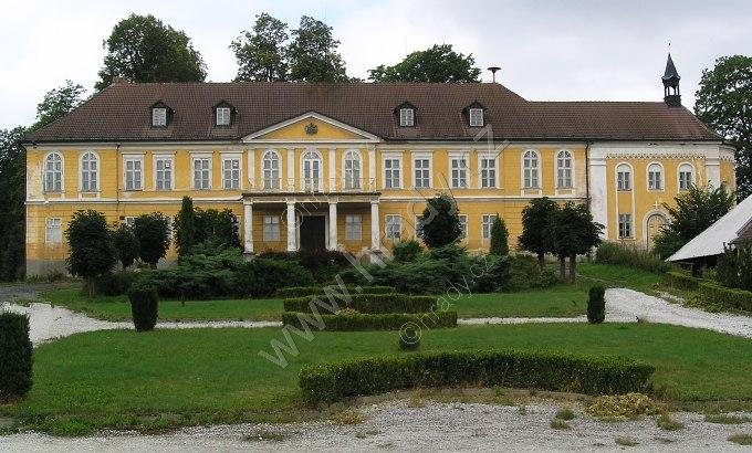 Čekanice