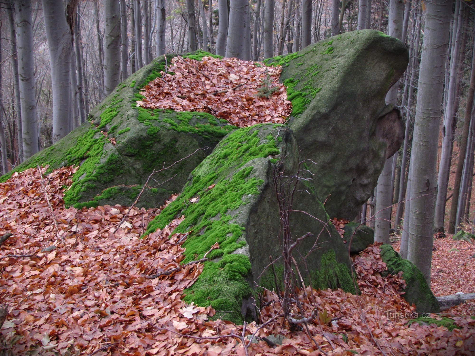 Čerňava - skalky nad lesní silničkou