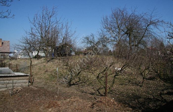 Černčice