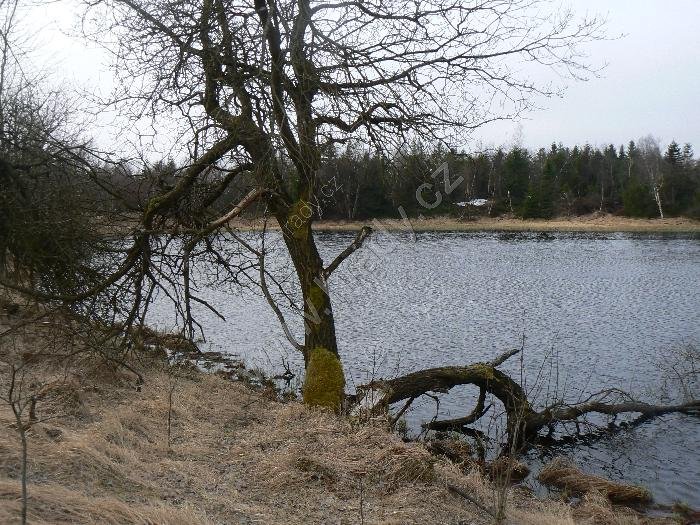Černý rybník