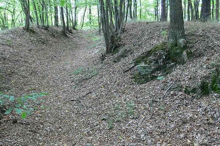 Červenka