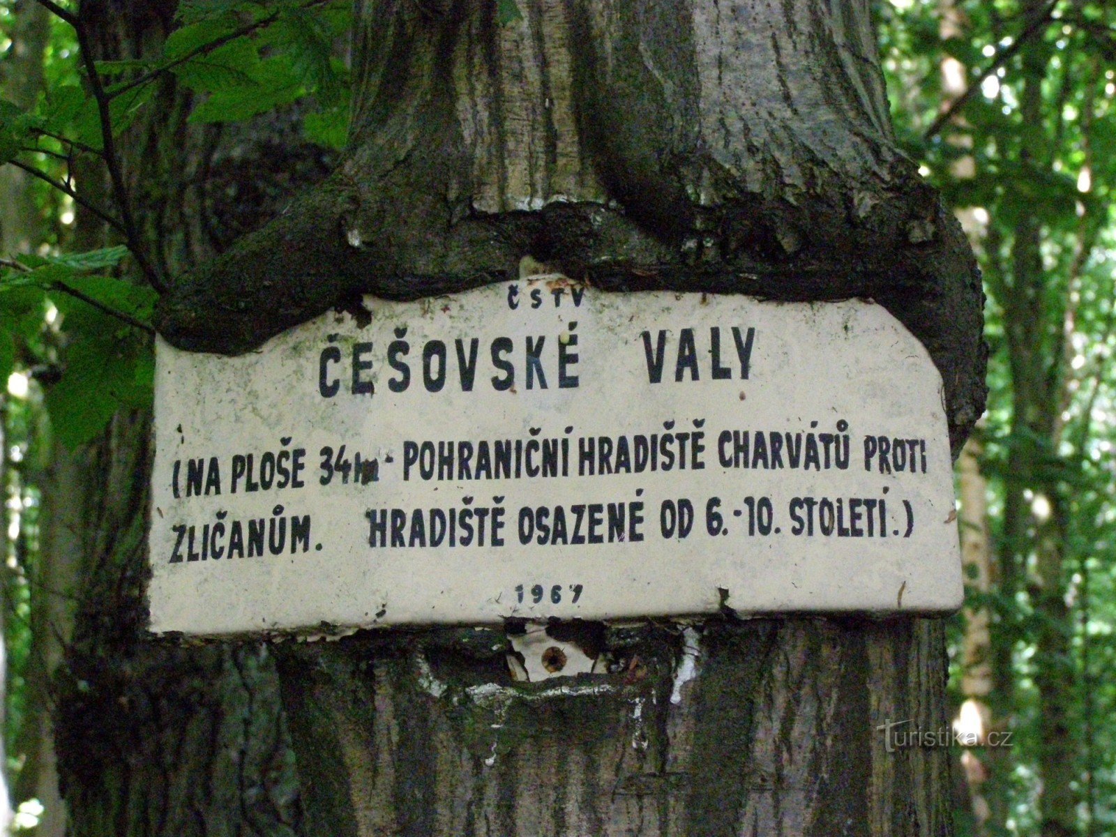 Češovské valy