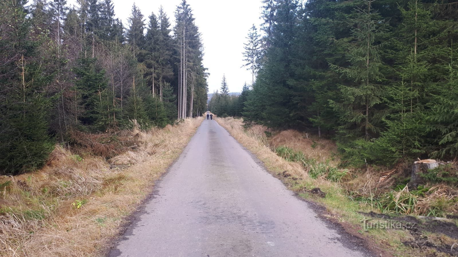 Cesta Brdskými lesy po cyklostezce