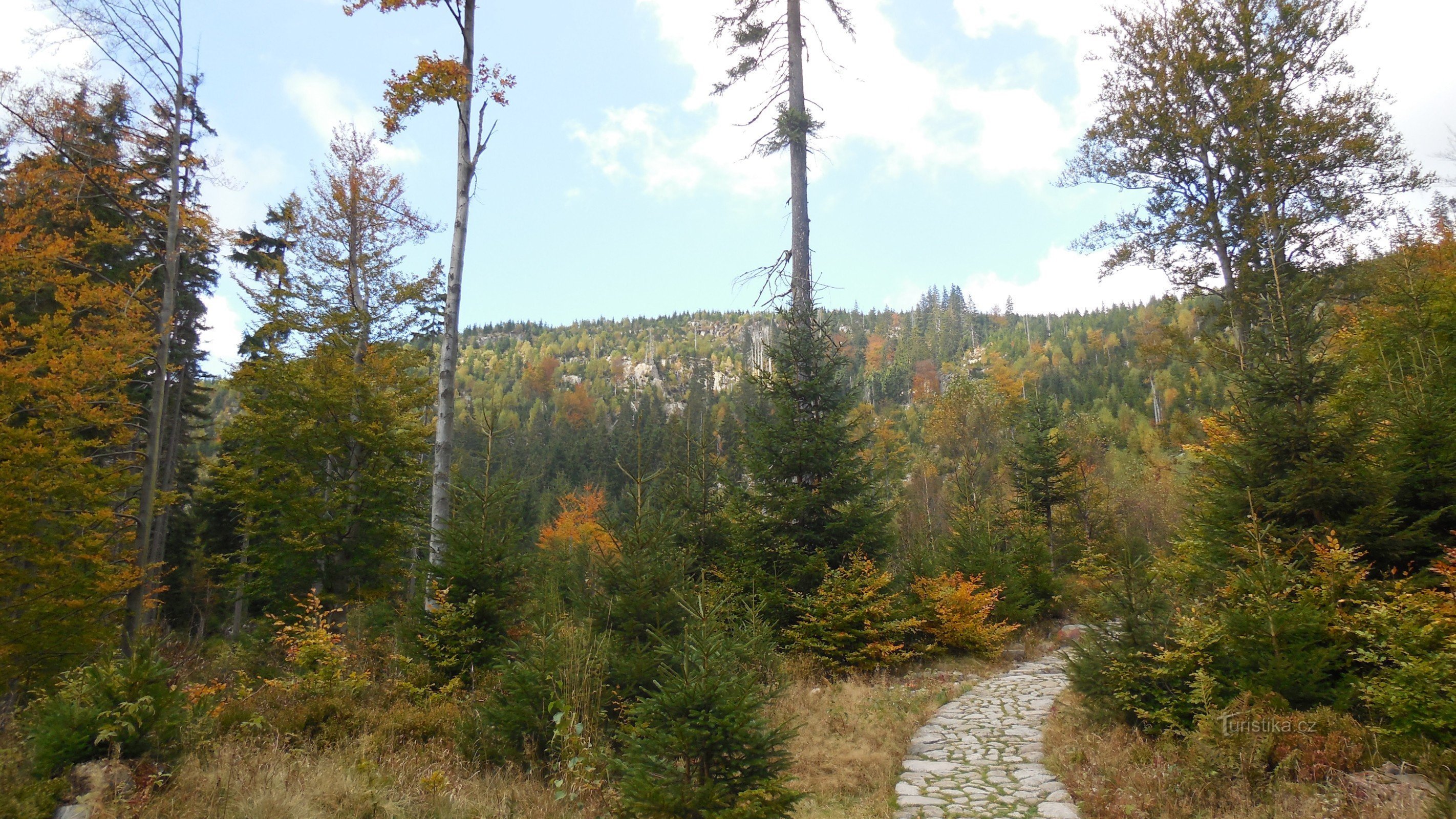 Cesta Labským dolem