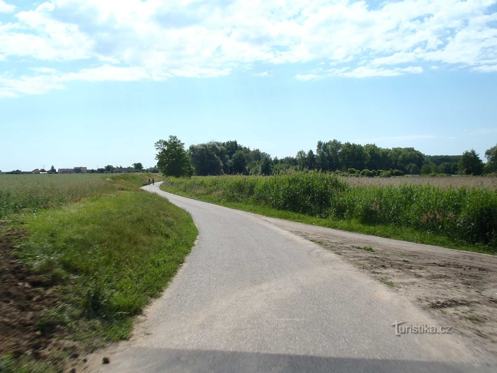 Cesta mezi osadou Vystrkov a Choťánkami - 16.6.2012