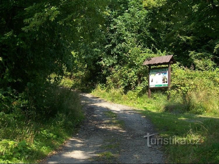 Cesta: Pohled od rozcestníku směrem na lesní cestu k Trojačce