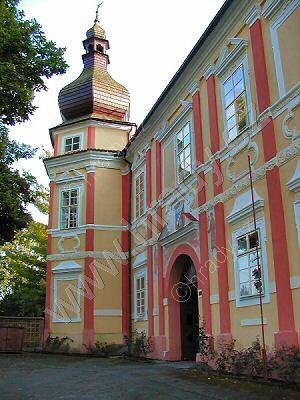 Čestice