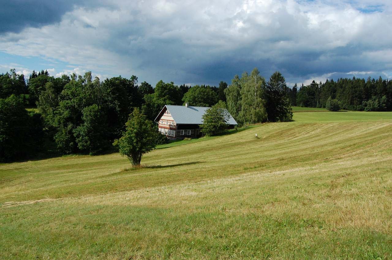 chaloupka na samotě u lesa....