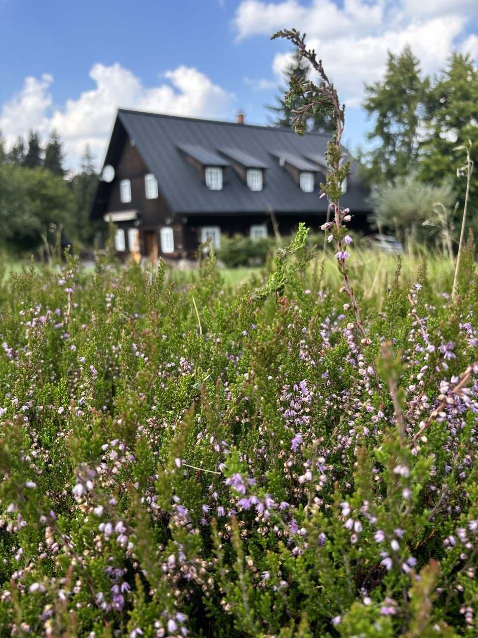 Chalupa Luisko - podzim