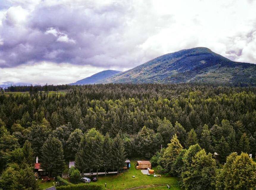 Chata přímo u lesa