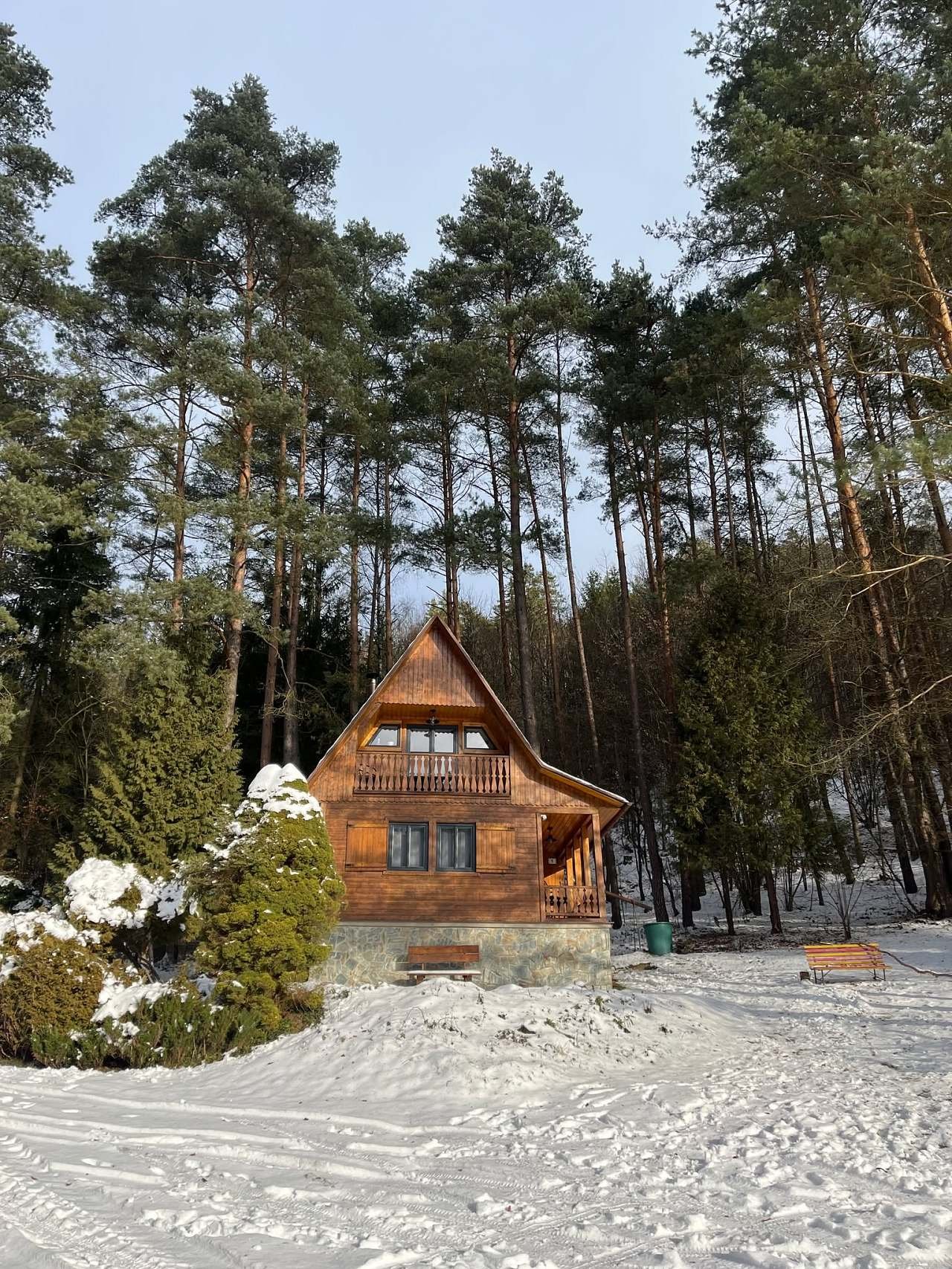 Chata za dubem, zima