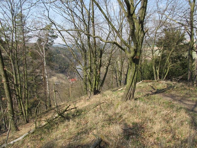 Chlumská stráň