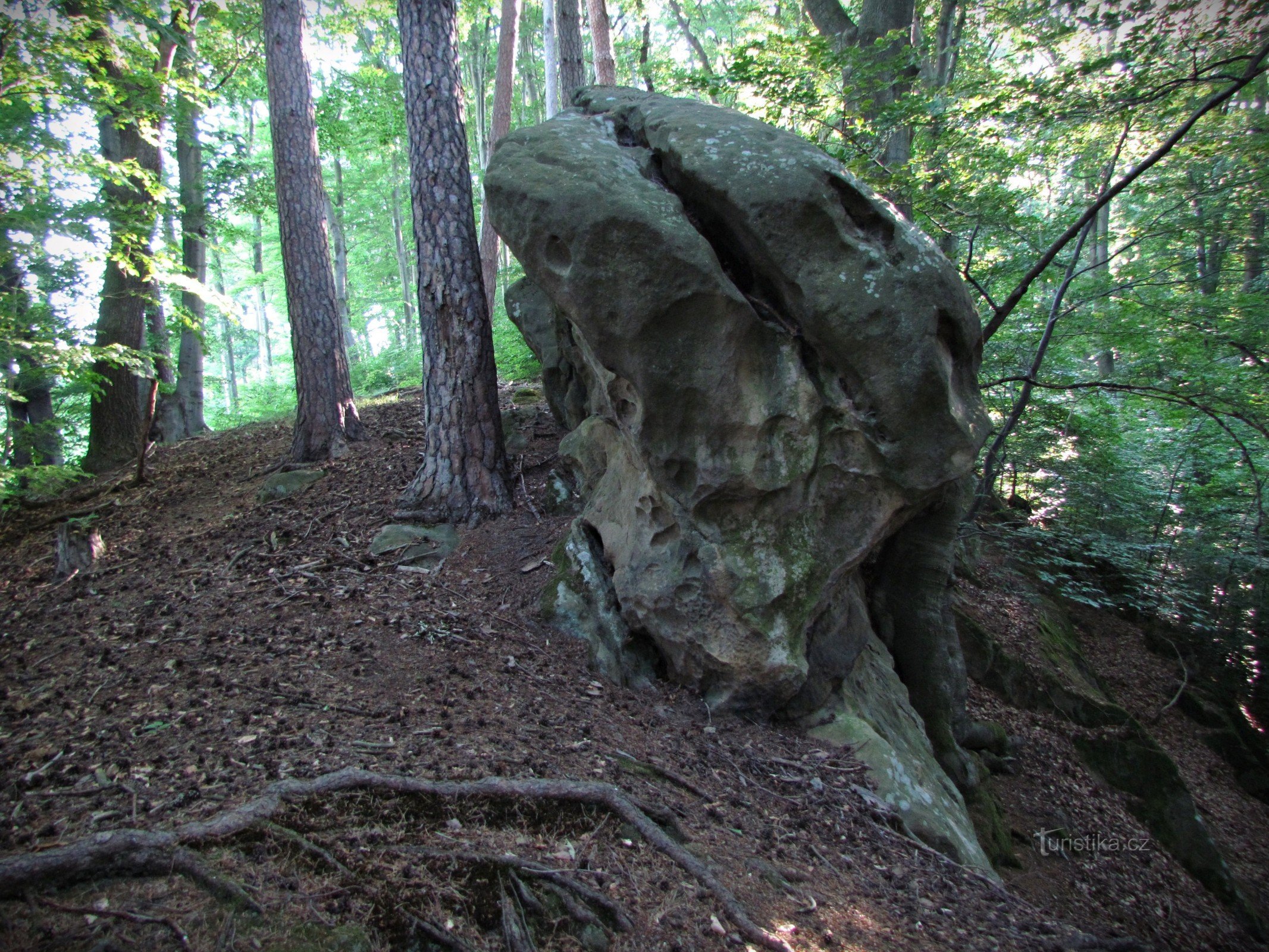 Chřiby - Skaličky u Koryčan