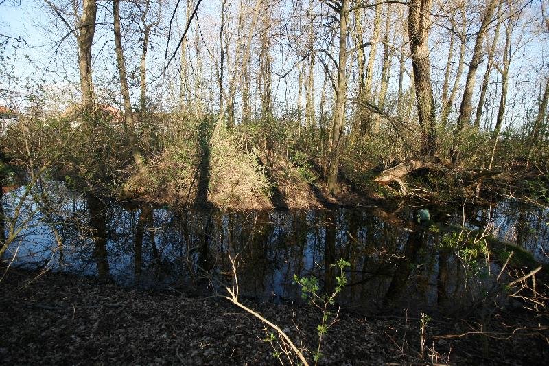 Chvojenec